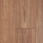 Spotted Gum