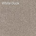 White Duck