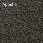 Apostle