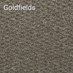 Goldfields