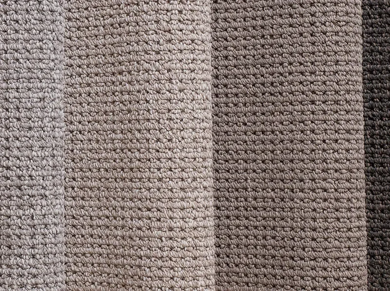 Elegant Arcadia Carpet