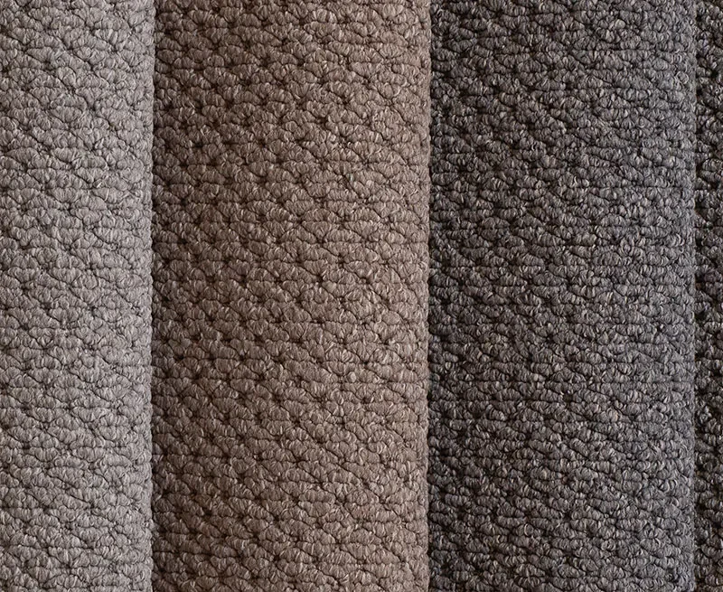 Elegant Odessa Carpet