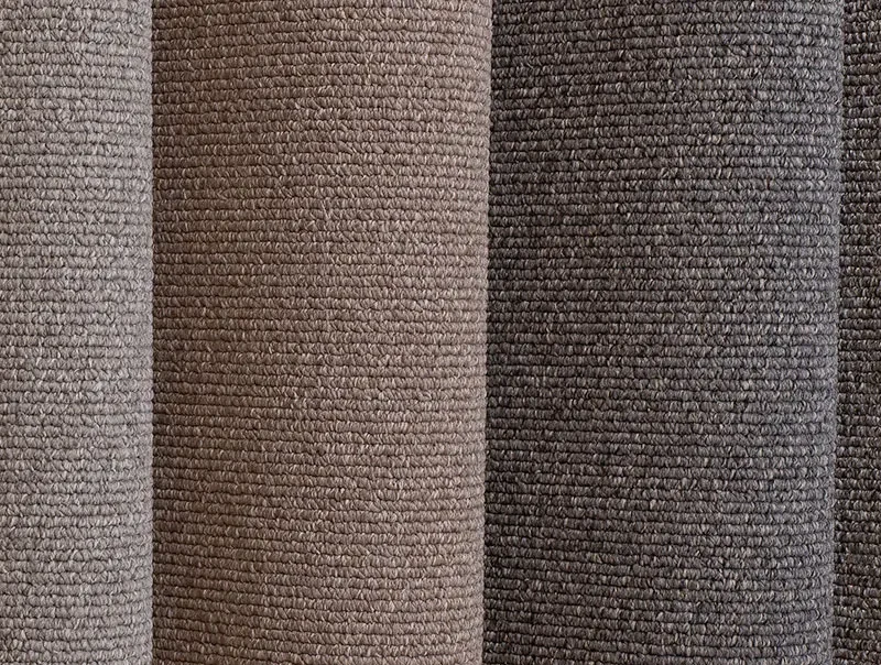 Elegant Zest Carpet