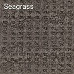 Seagrass