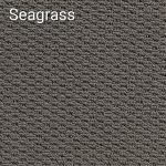 Seagrass