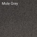 Mole Grey