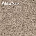 White Duck