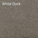 White Duck