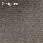 Seagrass