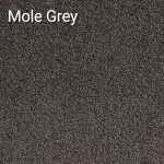 Mole Grey