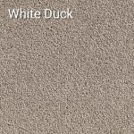 White-Duck