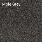 Mole Grey