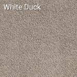 White Duck
