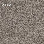 Zinia
