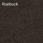 Roebuck