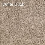 White Duck