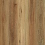 NSW Spotted Gum