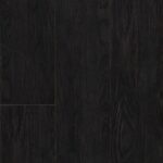 Forest Black Oak