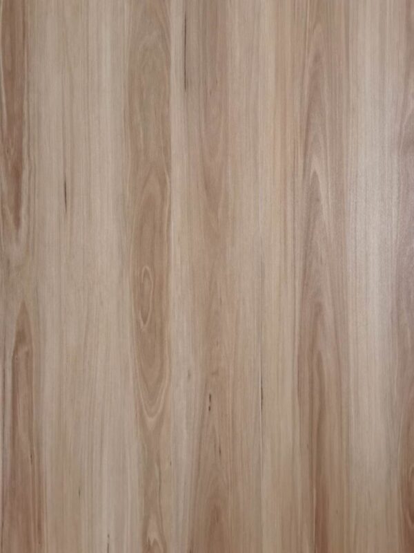 Blackbutt D3001