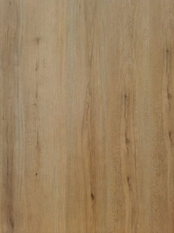 Fertile Oak D3003