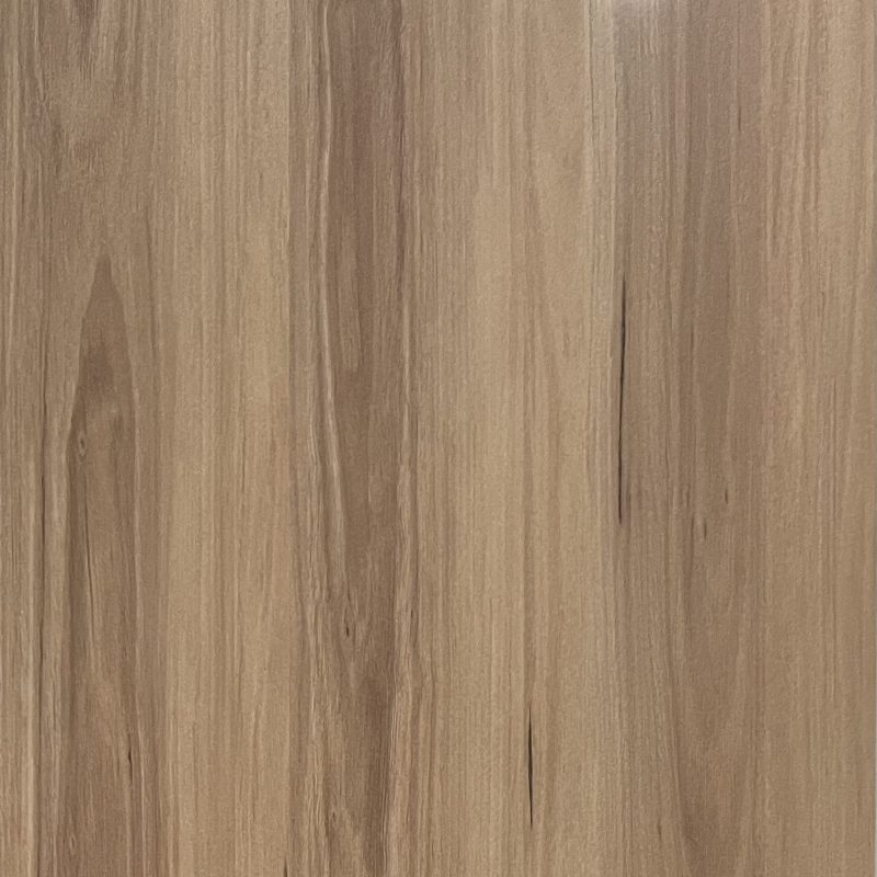 Blackbutt D5001