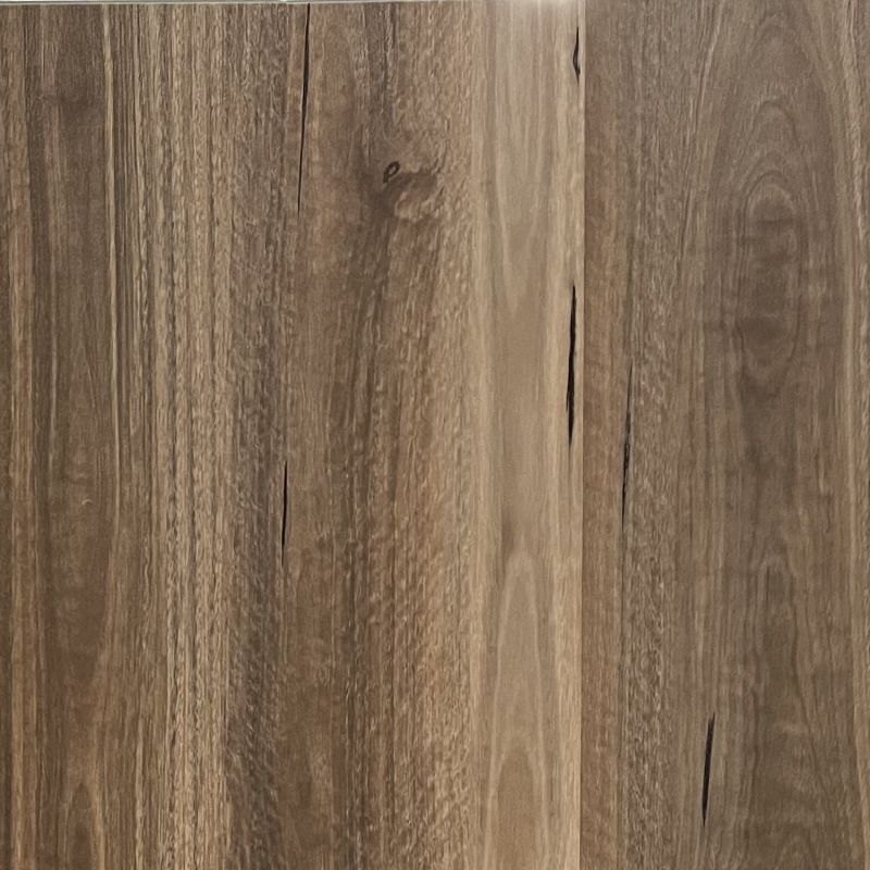 Spotted Gum D5002