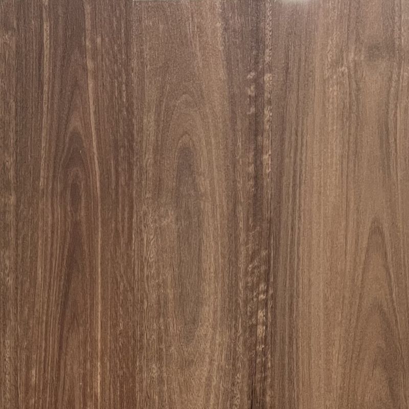 Queensland Spotted Gum D5004