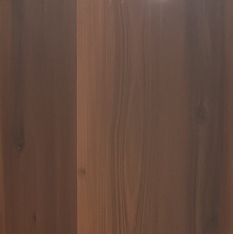 Brushbox D5008