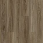 Spotted Gum WF08