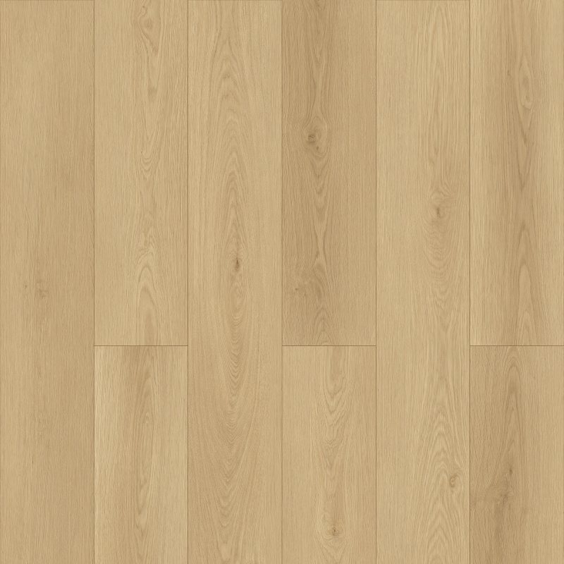Fortune Cookie WF801