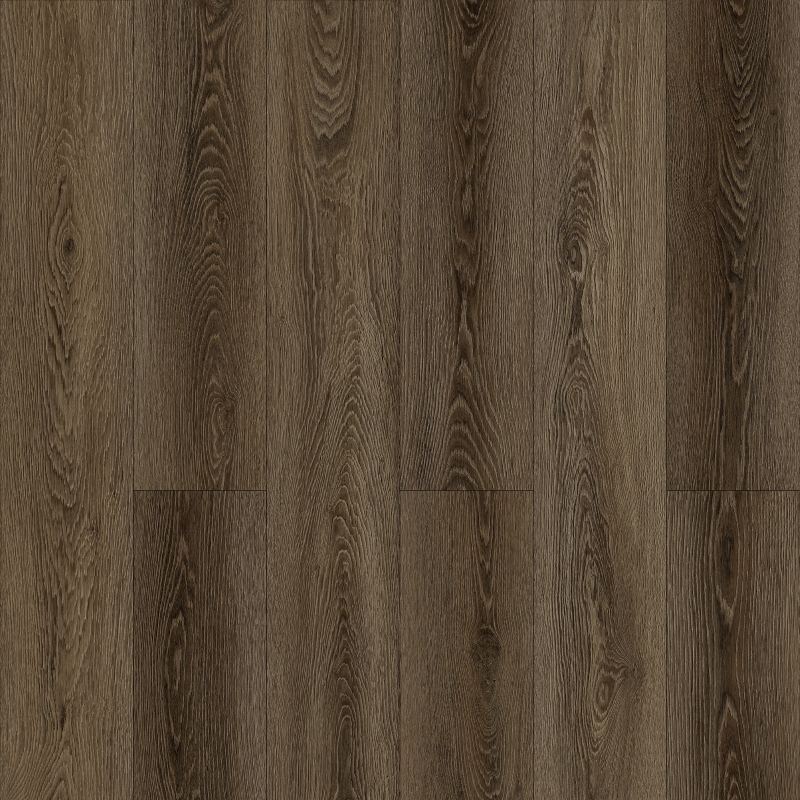 Café Noir WF802