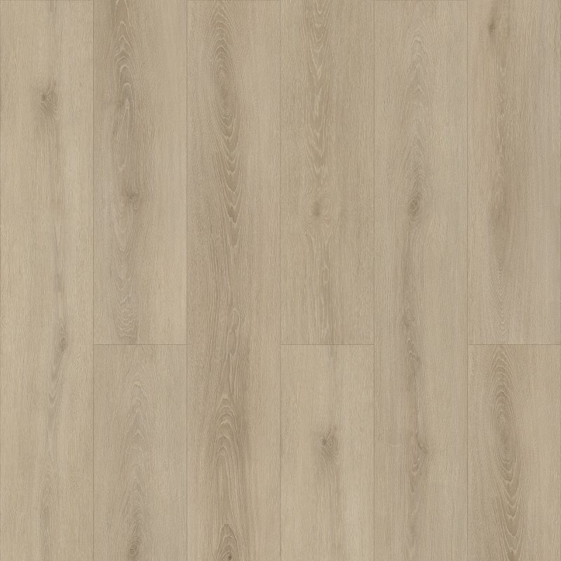 Golden Fog WF803