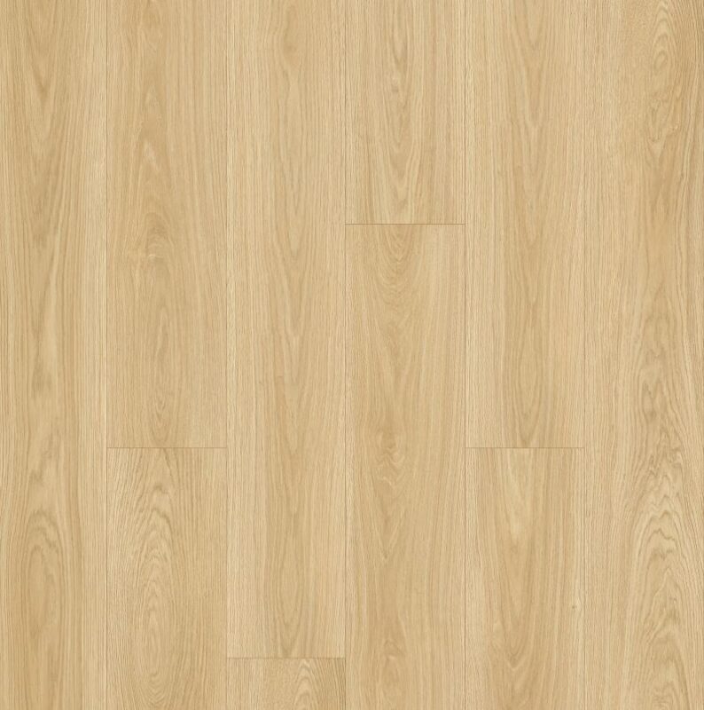 Ginger Ale WF804