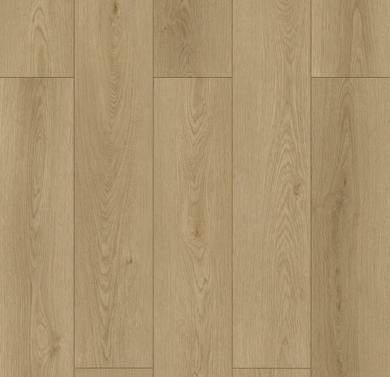 Brandy WF806