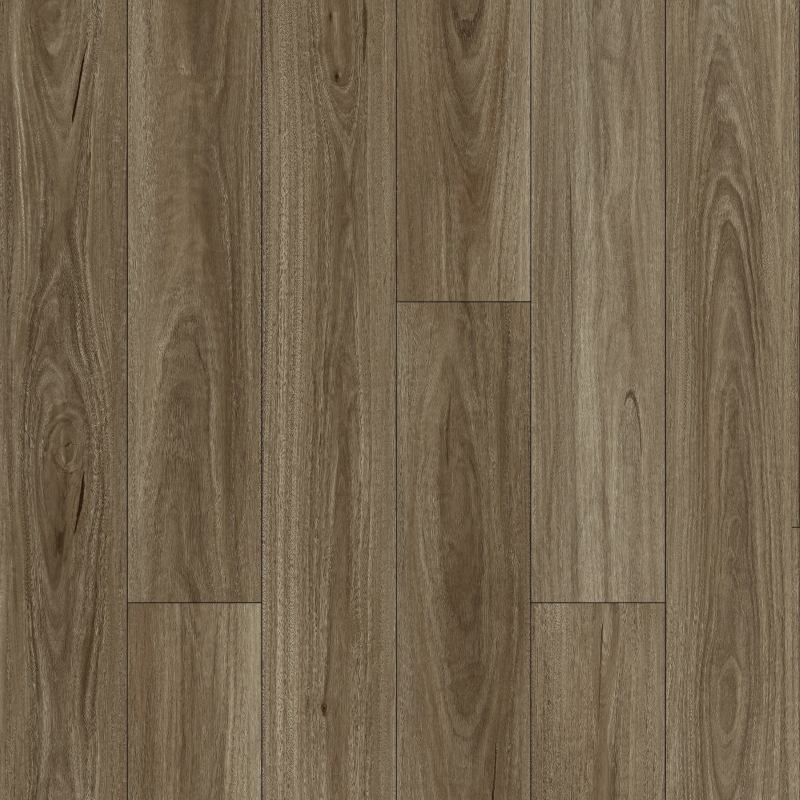 Spotted Gum WF808