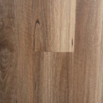 New England Spotted Gum