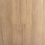 New England Blackbutt
