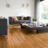 Gloss bamboo flooring in living room