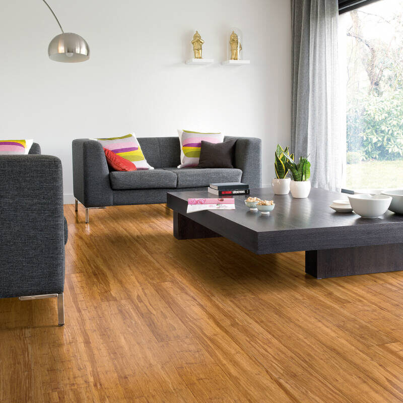 Gloss bamboo flooring in living room