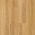 New England Blackbutt 77102