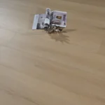 311 – Alpine Pearl Oak