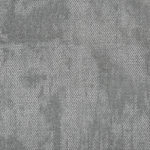 Silver Eclipse