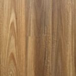 Spotted Gum