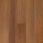 Native Blackbutt