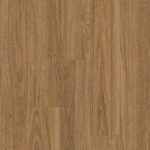 908 – Spotted Gum