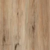 Supacore 1201 — Supacore Collection