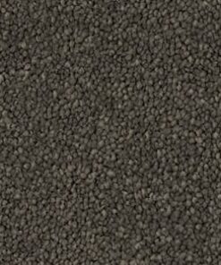 Saddle Stipple 195 — Refined Appeal Collection