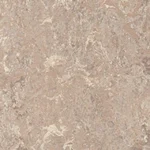 2.5Mm Horse Roan