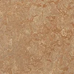 2.5Mm Shitake