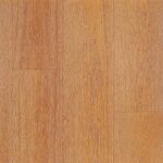 Butternut